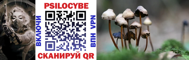 Купить  Кизилюрт  Галлюциногенные грибы Magic Shrooms 